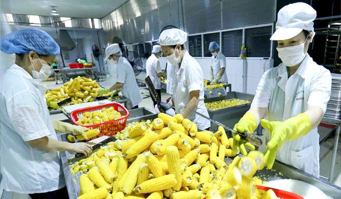 Nâng cao chất lượng và thương hiệu, đẩy mạnh xuất khẩu nông thủy sản Việt
